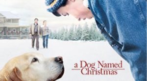 hhof_resources_movie5