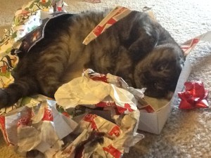 gizchristmas3_zpsf679dc40