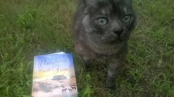 10982781_681149715347165_297454266350883030_n