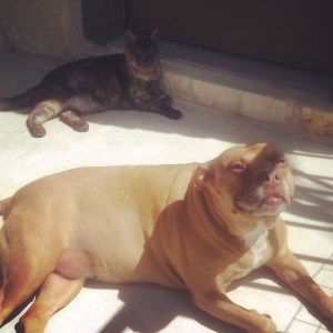 11202127_715143938614409_7969814030943674844_n