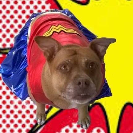 14729399_971074896354644_489282906771431935_n