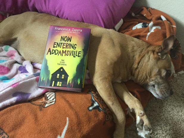 image of Now Entering Adamsville