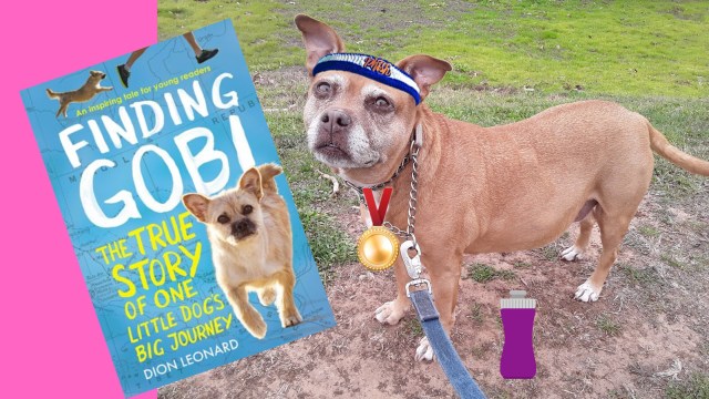 image of Finding Gobi book cover