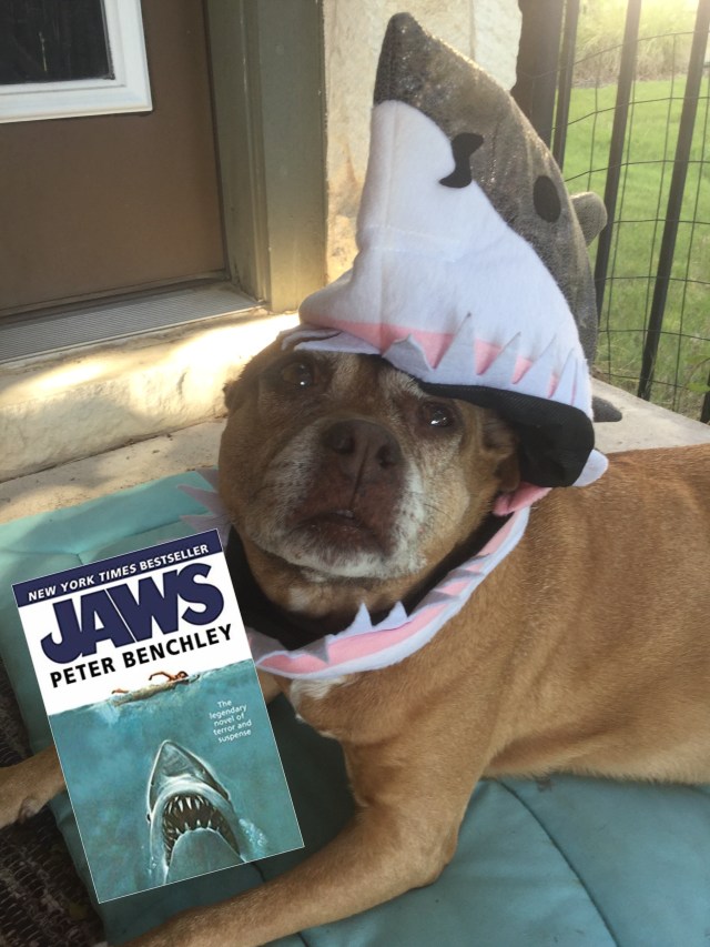 image of Jaws