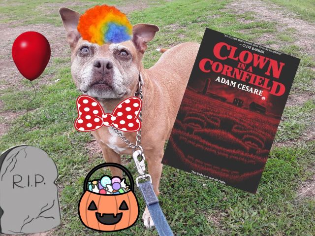 image of clown in a cornfield 